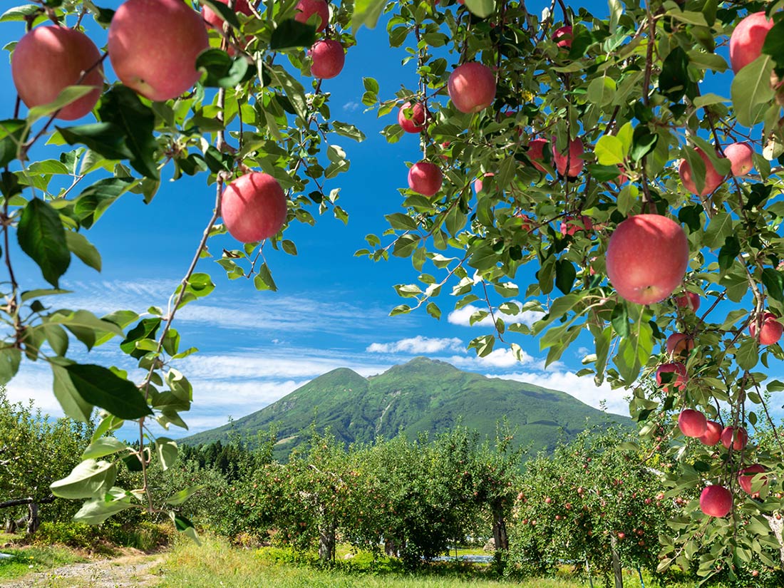 青森県内対応エリア