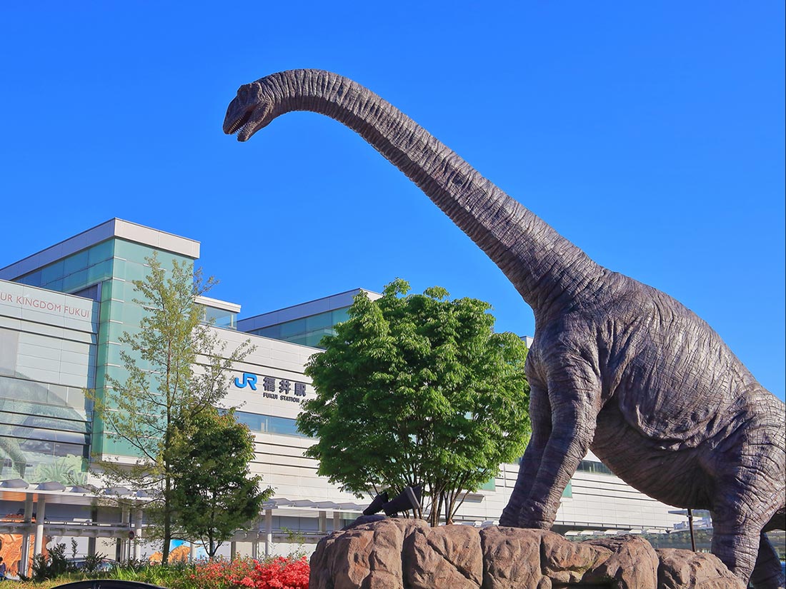 福井県内対応エリア