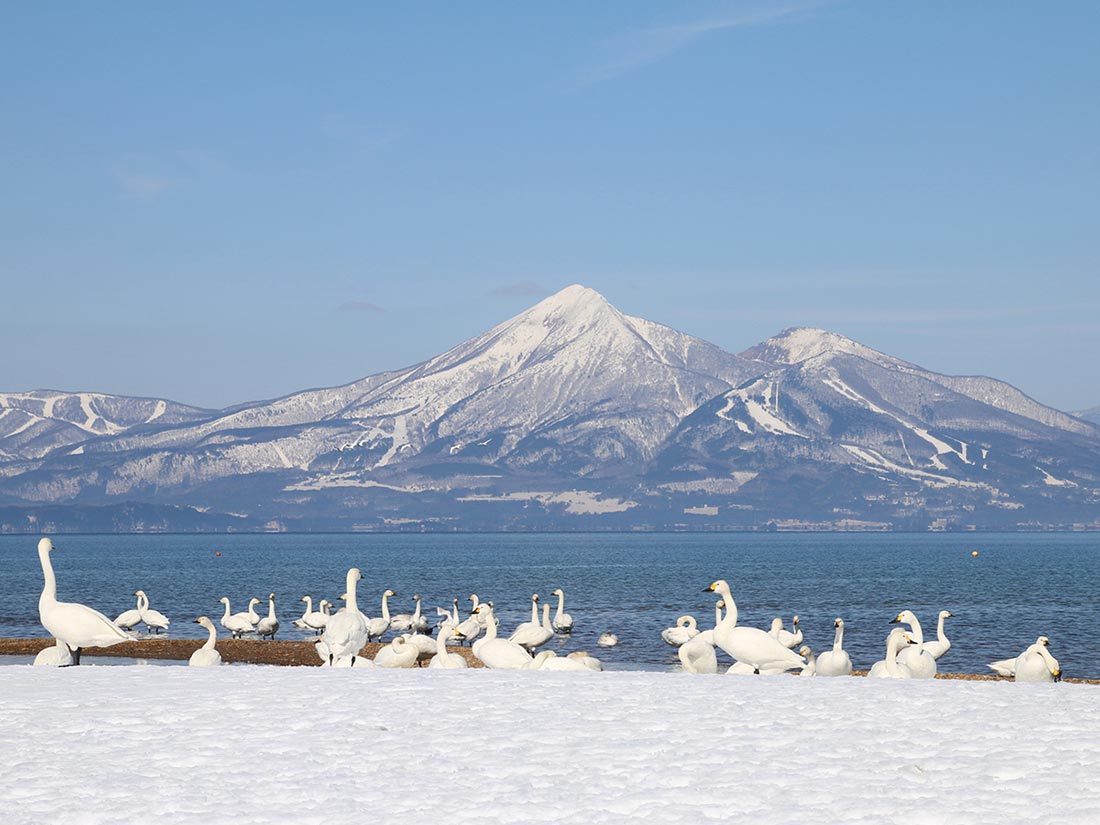 福島県内対応エリア