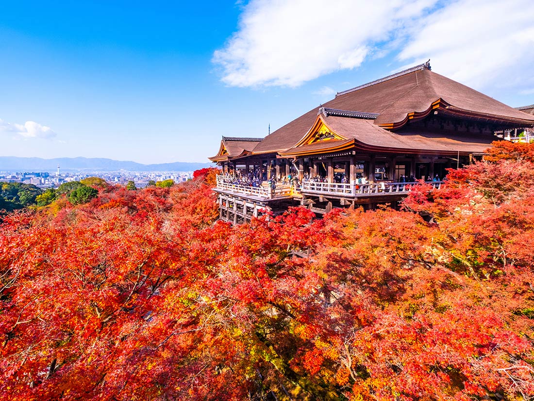 京都府内対応エリア