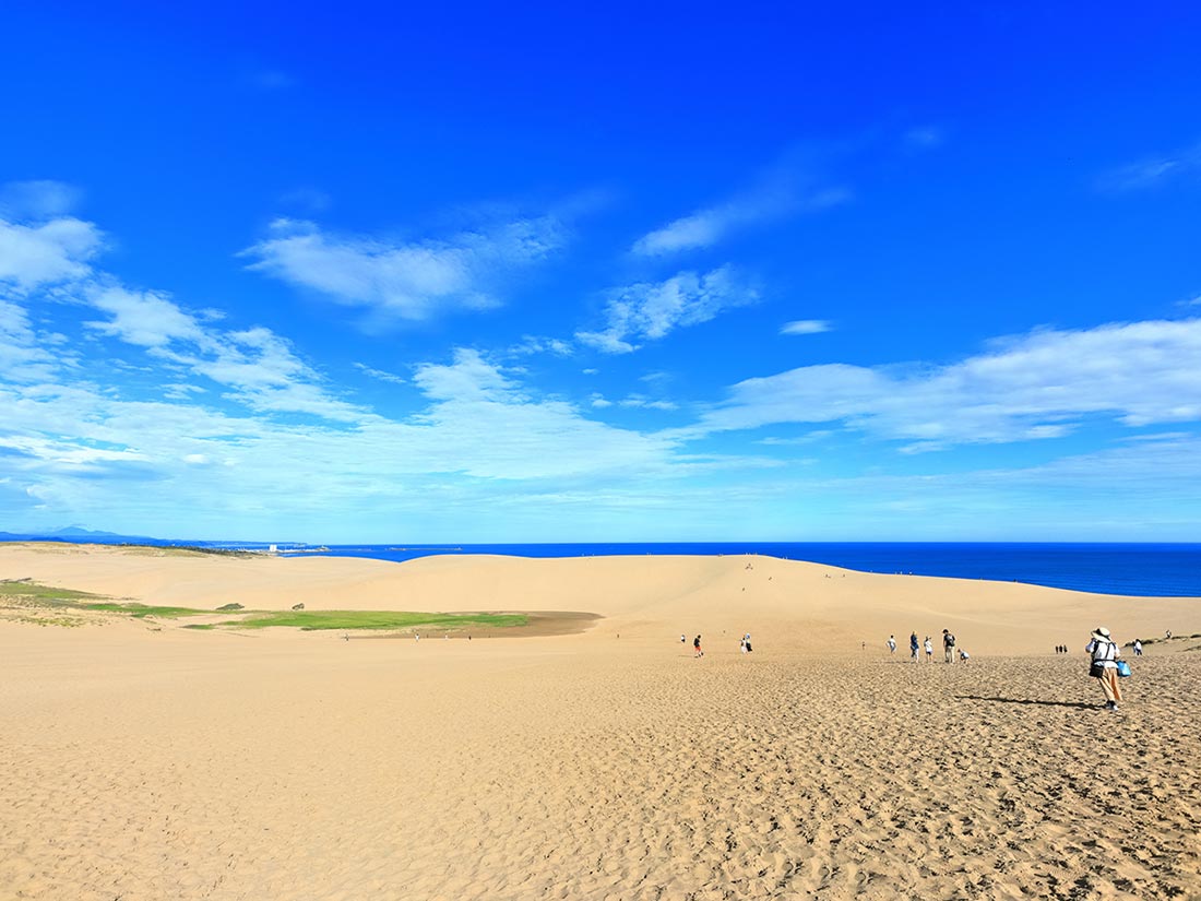 鳥取県内対応エリア