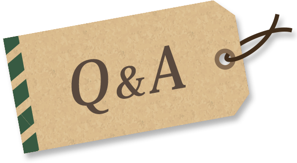 Q&A
